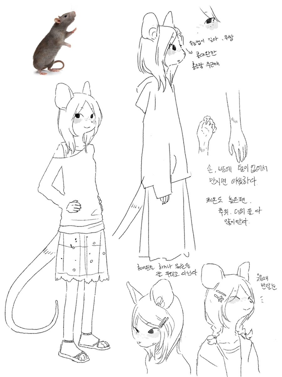 사이버강아지 tweet media