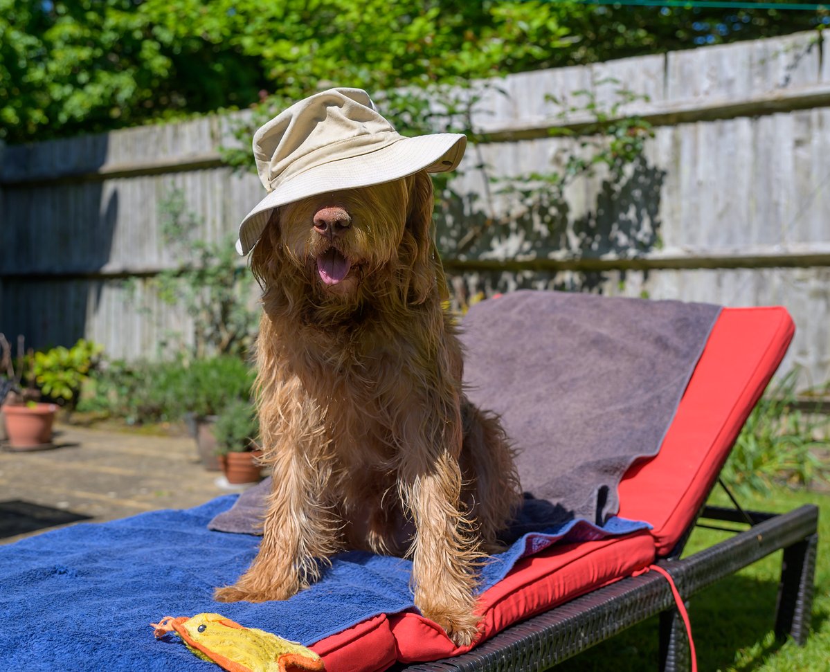 HWVlover's tweet image. #Style. Well definitely stylish and perhaps rakish too.