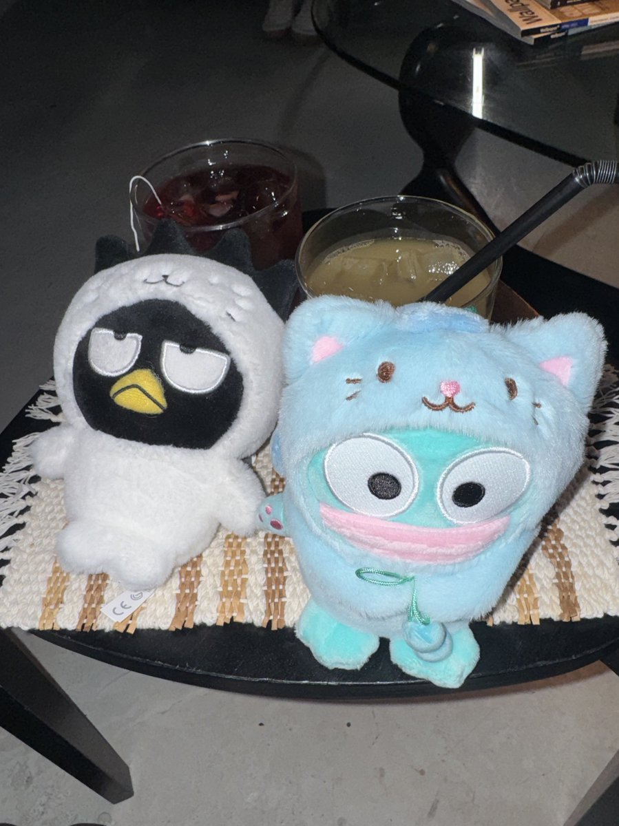 빈앤톤인형임
왼쪽은 삔드마츠마루+톤나마루
오른쪽은 삔교동+톤냥이