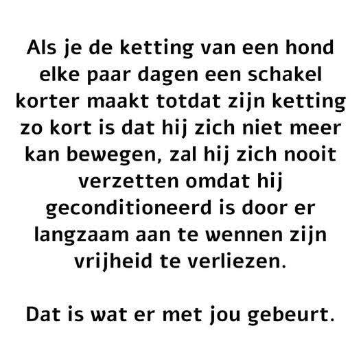 Wim den Oudsten tweet media