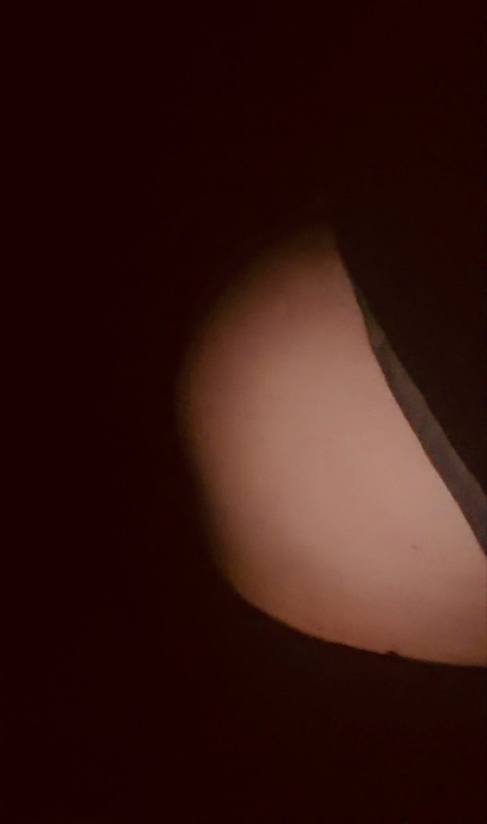 thicccbottomm's tweet photo. you like it? 🥹 https://t.co/fRd8yawo5j