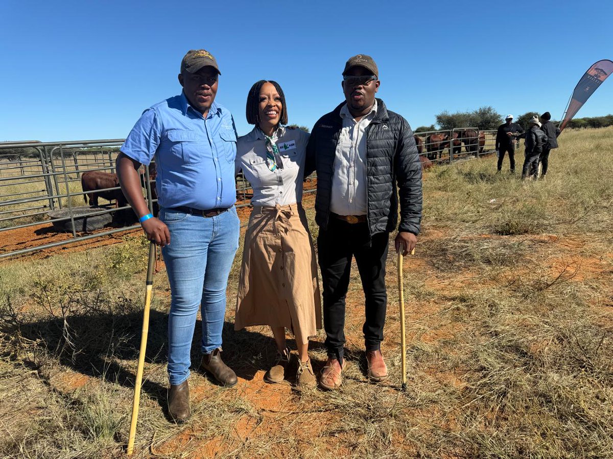 African Farming tweet media