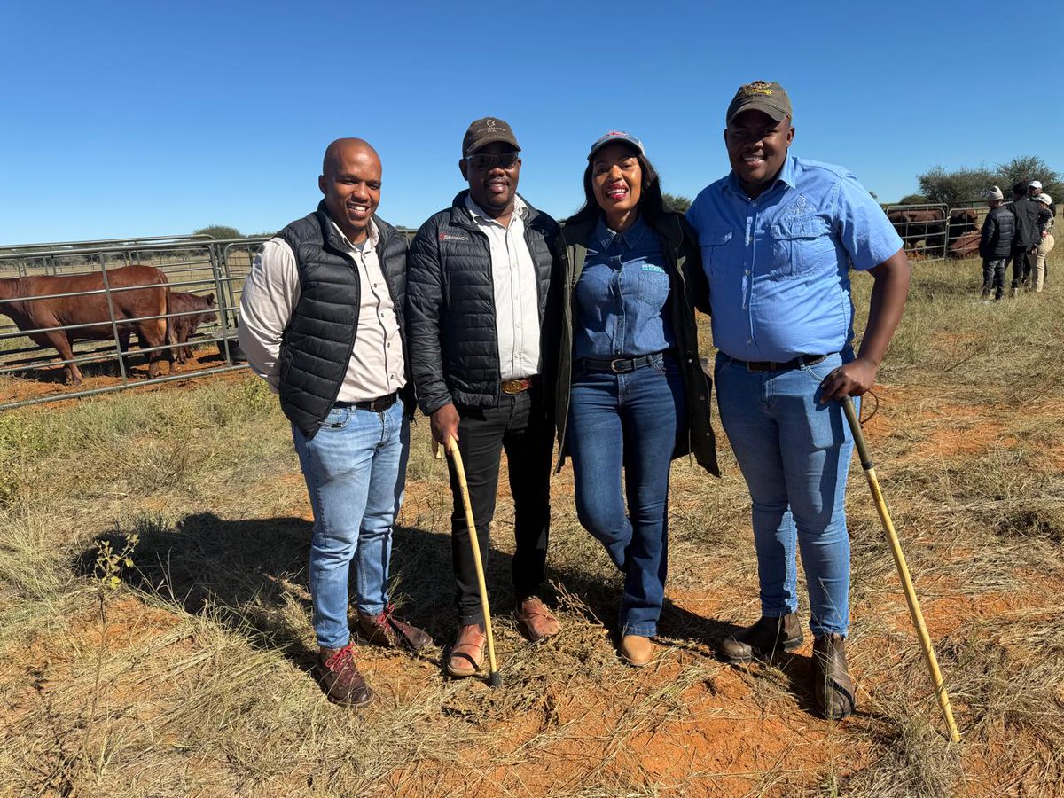 African Farming tweet media