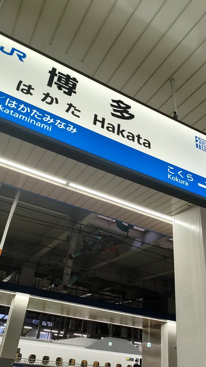 えね tweet media