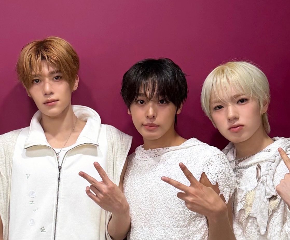 토산호 tweet media