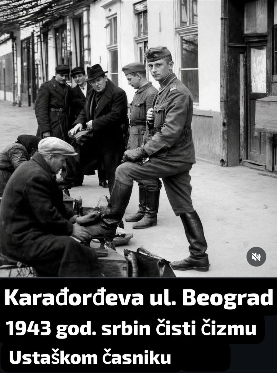 Crnjak tweet media