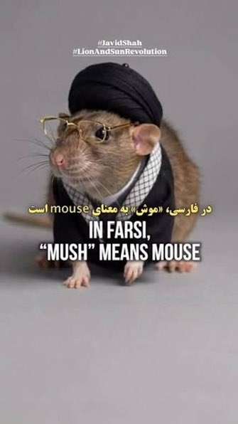 NoamHH's tweet photo. @MKhamenei_ir https://t.co/ZyXMeEexss