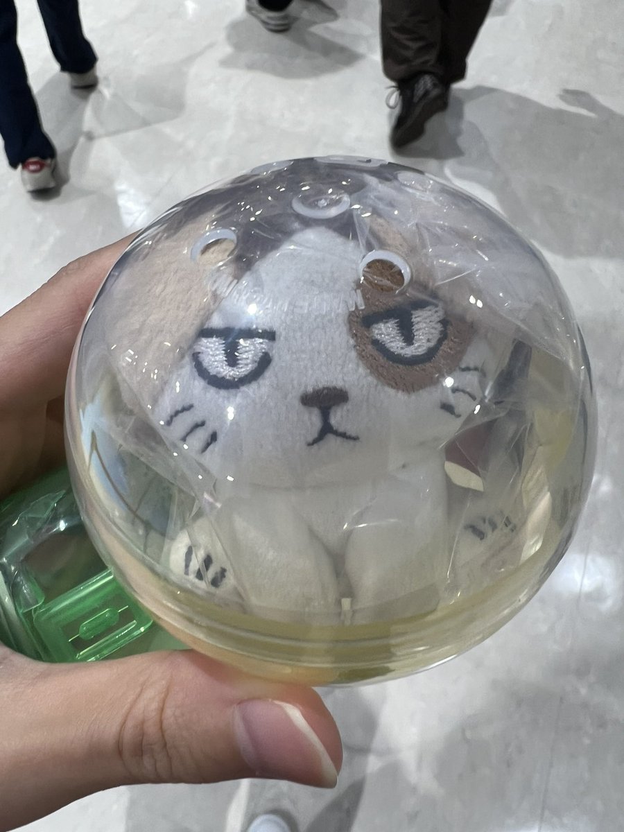 ____rnn____'s tweet photo. 《交換》ハイキュー アニマルぬいぐるみマスコット ガチャ

【譲】 ケンマネコ( 孤爪研磨 )

【求】クロオネコ( 黒尾鉄朗 )

出先のためIDなしにて失礼いたします。
検索からでもお気軽にお声掛けください。
手渡し希望、現在池袋におります。 https://t.co/toieoVYFsd