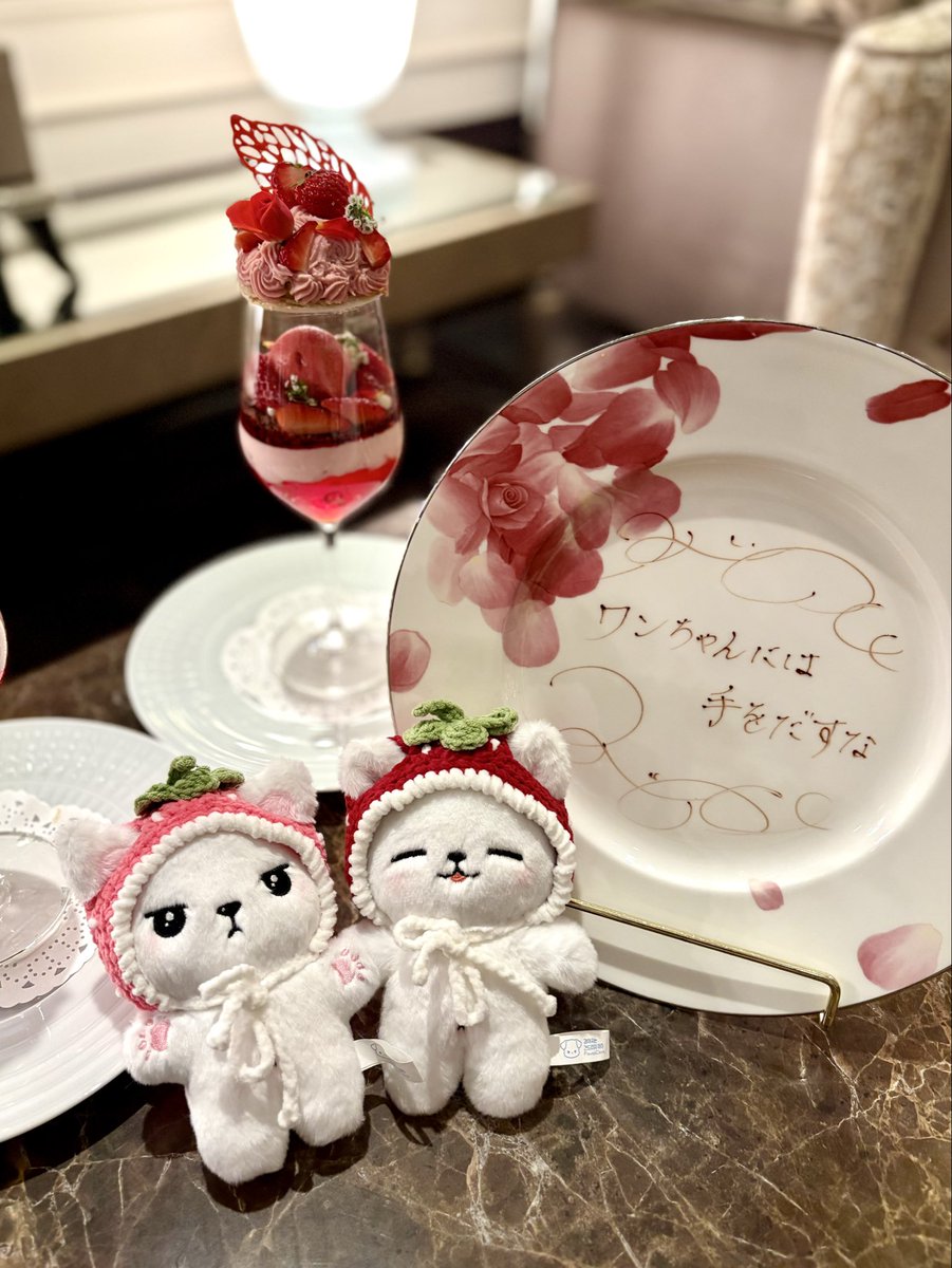 ice75s's tweet photo. ワンちゃんには手をだすな🐶❣️ https://t.co/Q6w2m4N420