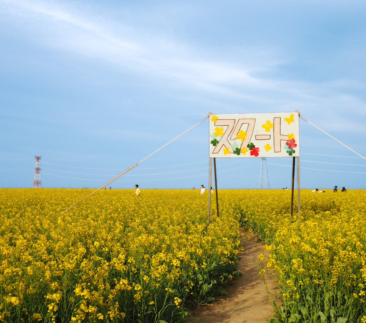 Fukushima Watch Co. tweet media