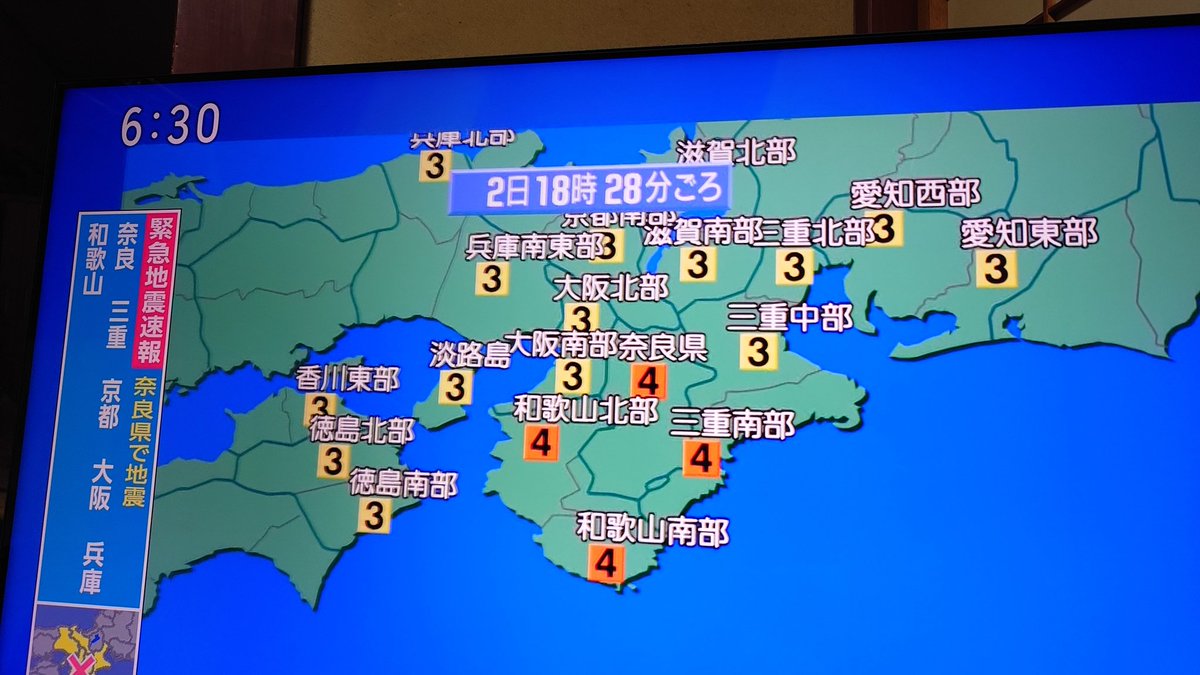 ここあ🐹 tweet media