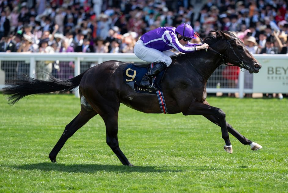 The Race Horse Guy tweet media