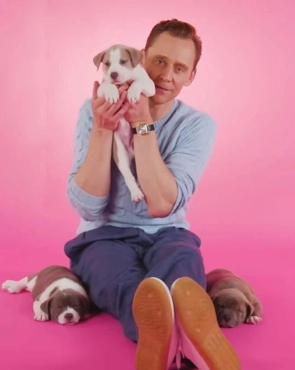 TomFacts tweet media