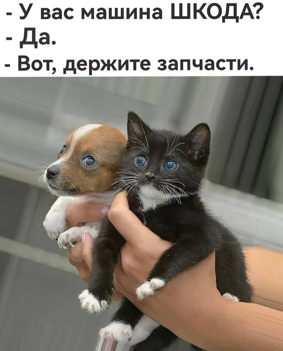🤭