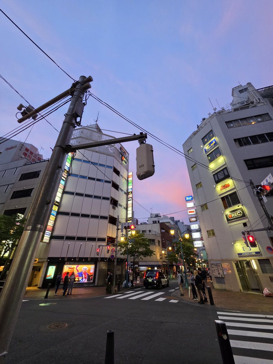 ていとらいと tweet media