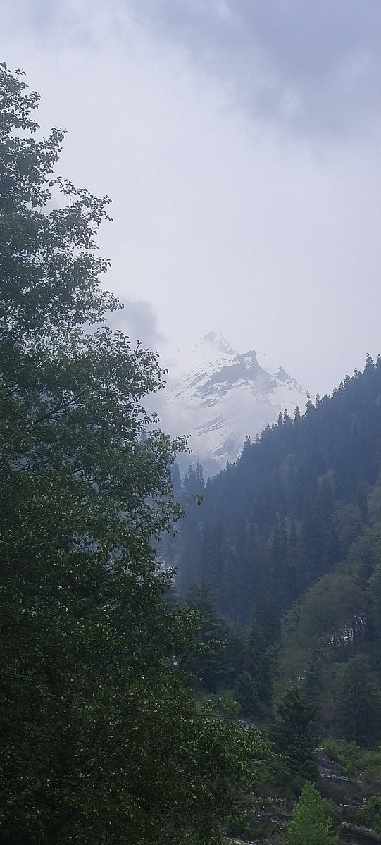 GemsHimachal's tweet image. पहाड़ों के बिल्कुल पास 🏔️❤️
#HimachalPradesh