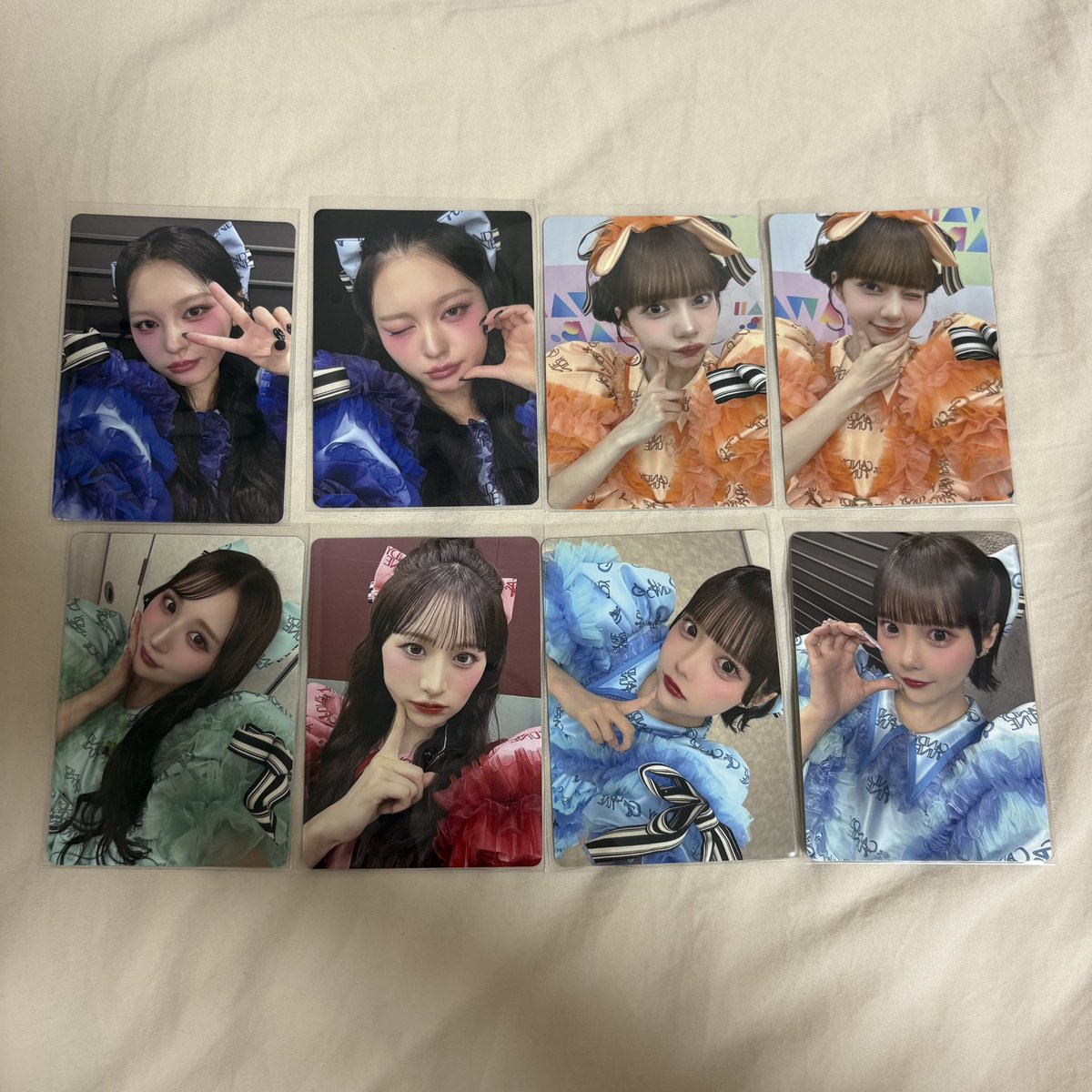 🐶 プロカ必読 tweet media