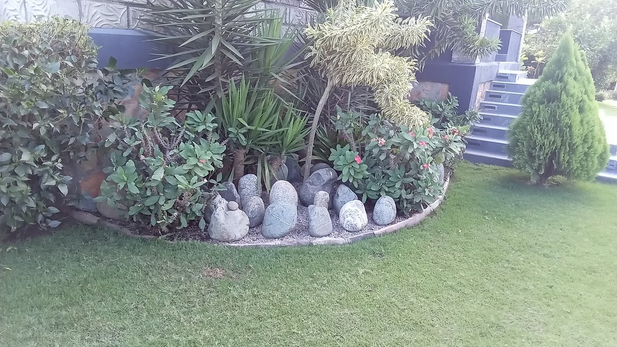 ByarugabaRemi's tweet image. Just think of having #coffee in such  rock gardens