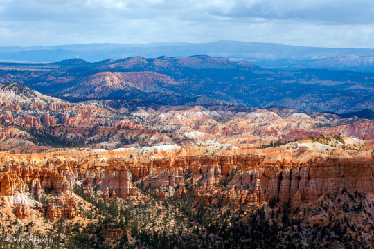 MelsBracelets's tweet image. Bryce Canyon National Park, Southern Utah, US #landscapephotography #landscape #travelphotos #travelphotography #traveler #traveling #wanderer #wanderlust #vacation #roadtrip #outwest #utah #usa #northamerica