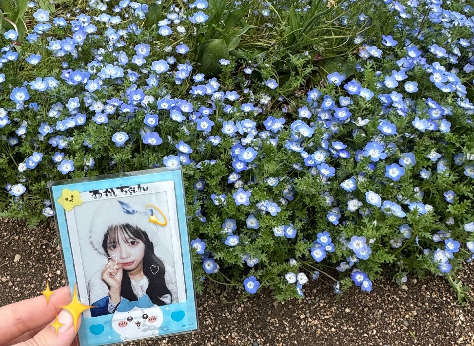 ✿*:･ﾟ