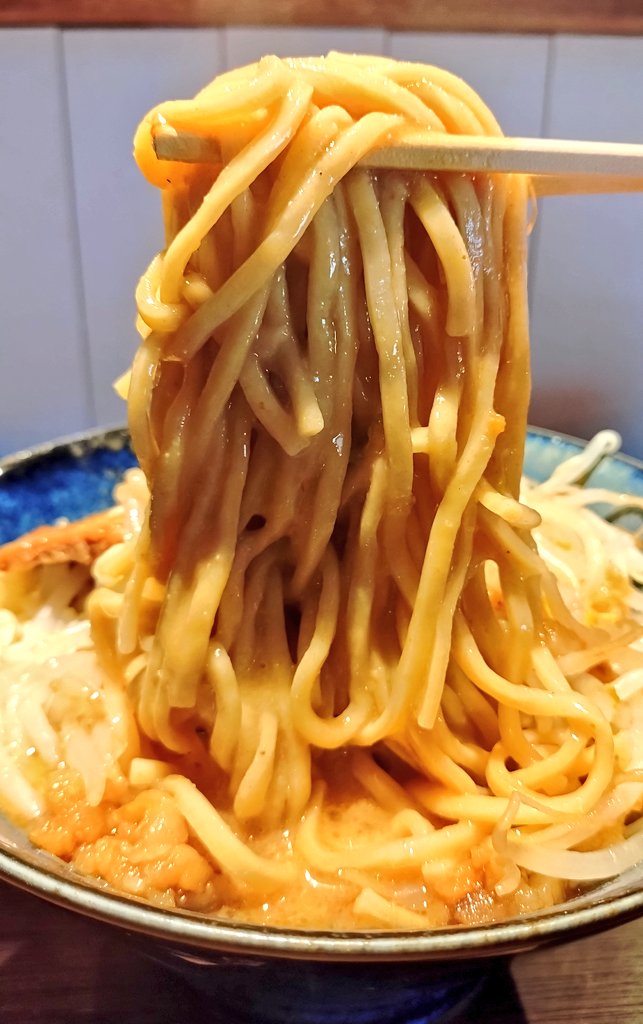 toriumimen's tweet photo. うまそうなラーメン屋ジャンク店@中津
味噌󠄀ラーメン

豚骨を8時間炊き上げ5種類の味噌󠄀配合のタレで合わせたド乳化スープ。ドロッとしたスープは豚の旨味と芳醇な味噌󠄀がマイルドでクリーミー。一味の辛味も良く旨い。麺は棣鄂製の太麺。具は大判の豚ウデ肉叉焼、もやし、大蒜、背脂🍜#ラーメン https://t.co/JuB1UXkO7w