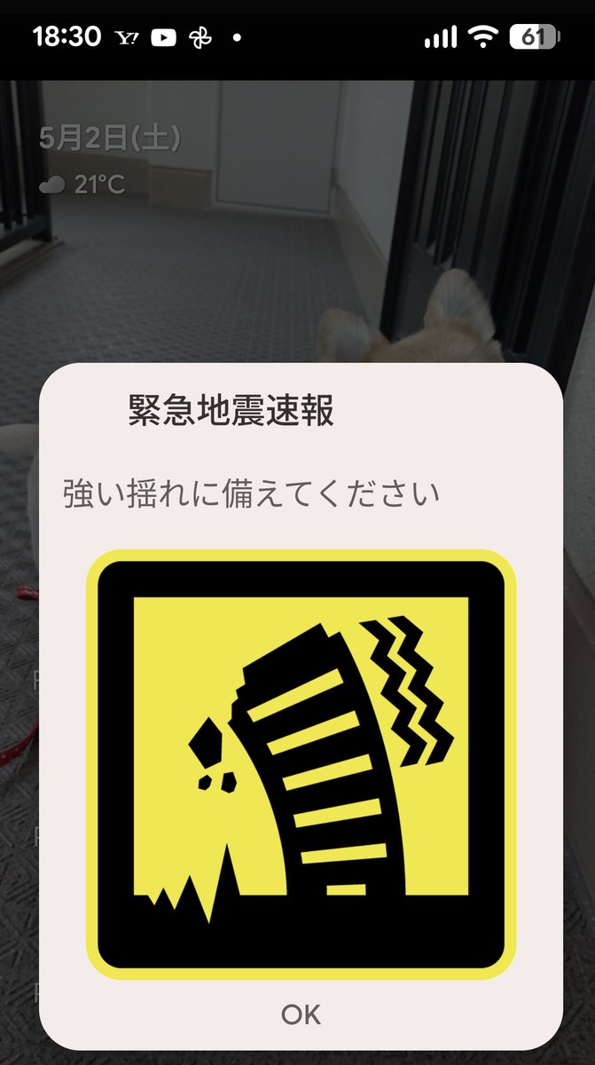 みゆ tweet media