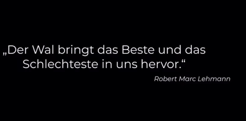 Iris im Chaos tweet media