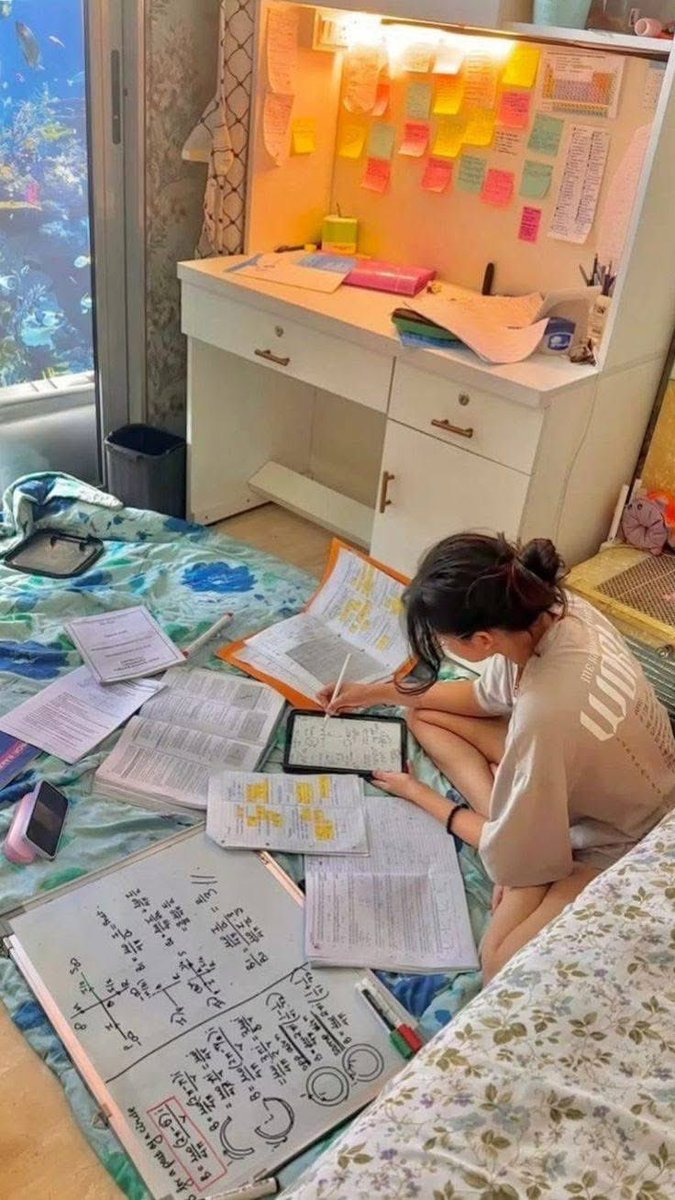 gurlscode_'s tweet photo. current mood: you finally got serious about your goals📸 https://t.co/sPuH5yIb3o