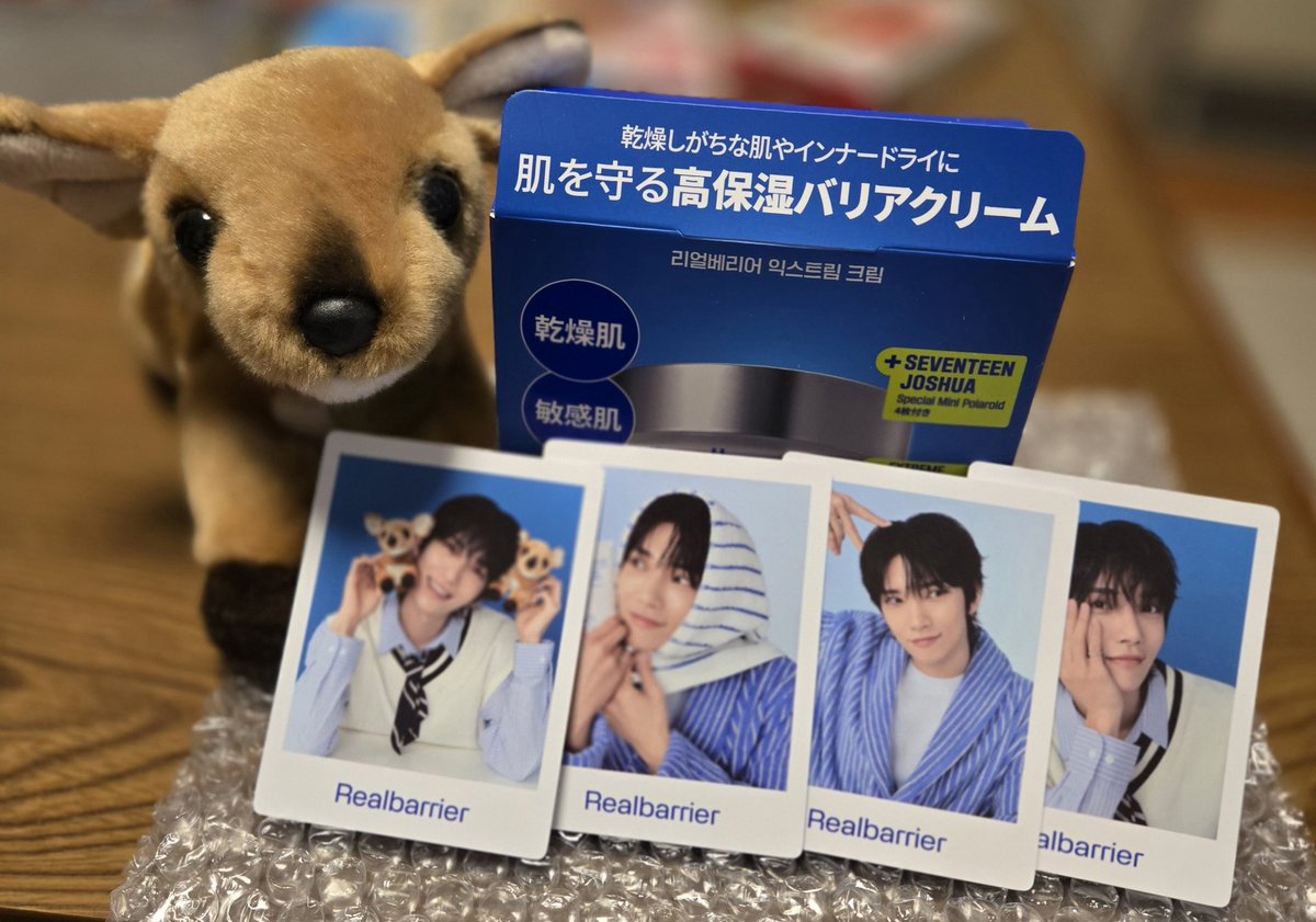 もう届いた！
シュア、どれも可愛すぎる😍よく見たら、うちの子がシュアと写ってる🎶