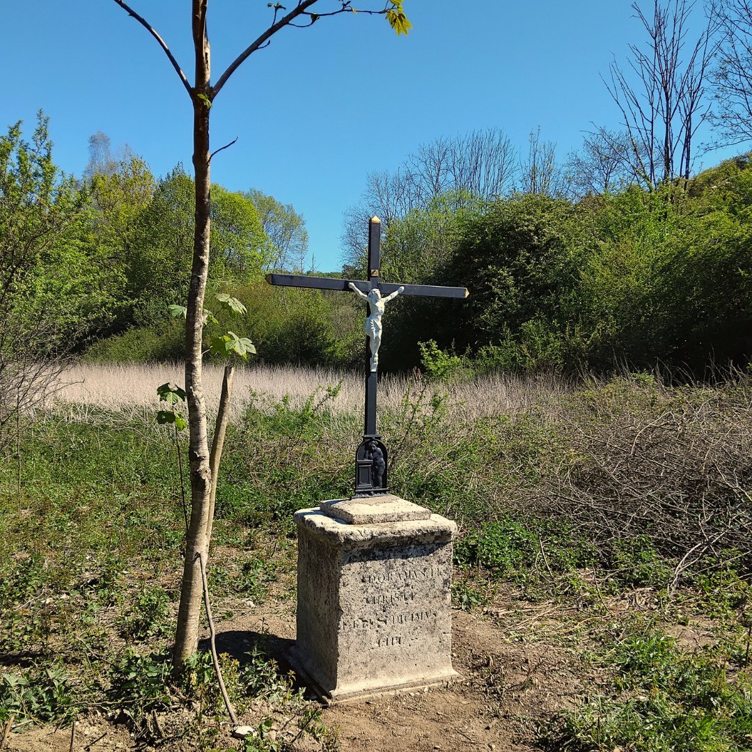 soscalvaires's tweet photo. 🧐 Vous l'auriez repéré, vous ?
Un #socle perdu dans les broussailles, une #croix cassée et disparue...
🤝 C'est le #chantier qu'a découvert notre antenne de l'#Aube il y a quelques semaines.
Bravo à eux pour sa #restauration !
#patrimoine #heritage #calvaire #france https://t.co/lqknlPeTzf