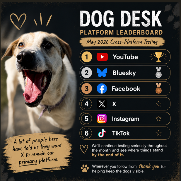 Dog Desk Animal Action tweet media