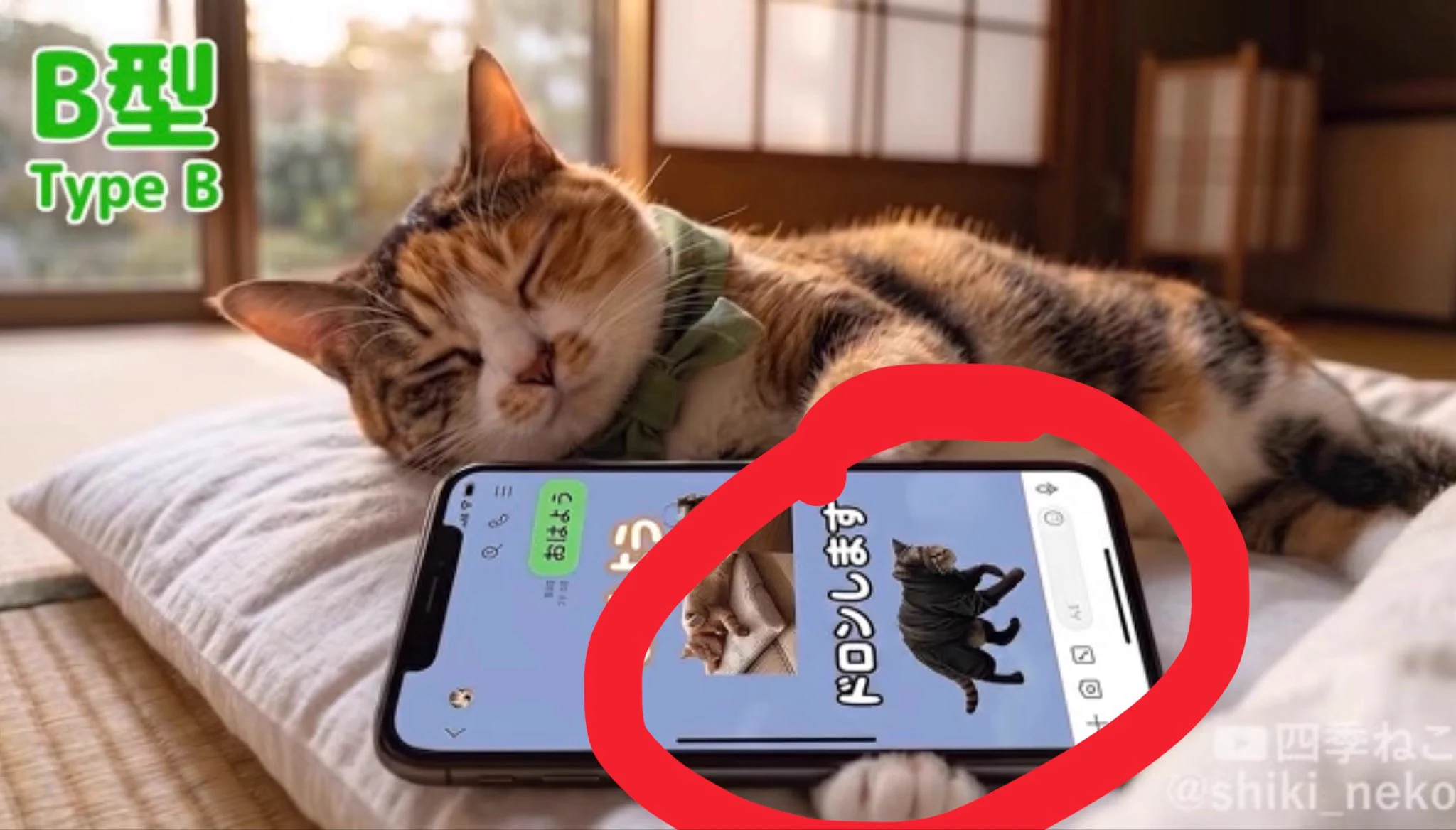 四季ねこ (@shiki_neko1) / X