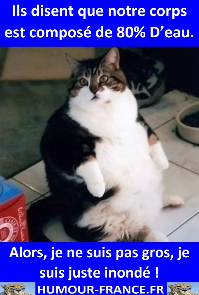 HHumourFrance's tweet image. Humour-France : humour-france.fr

Boutique : boutique-virtuel.com

T-SHIRT HUMOUR : cutt.ly/mMLHWxu

#divertissement #jpp #fourire #fou #comique #rires #frenchhumour #souris #mortderire #ptdr #blague #humour #drole #marrant #blagues #mdr #fourires