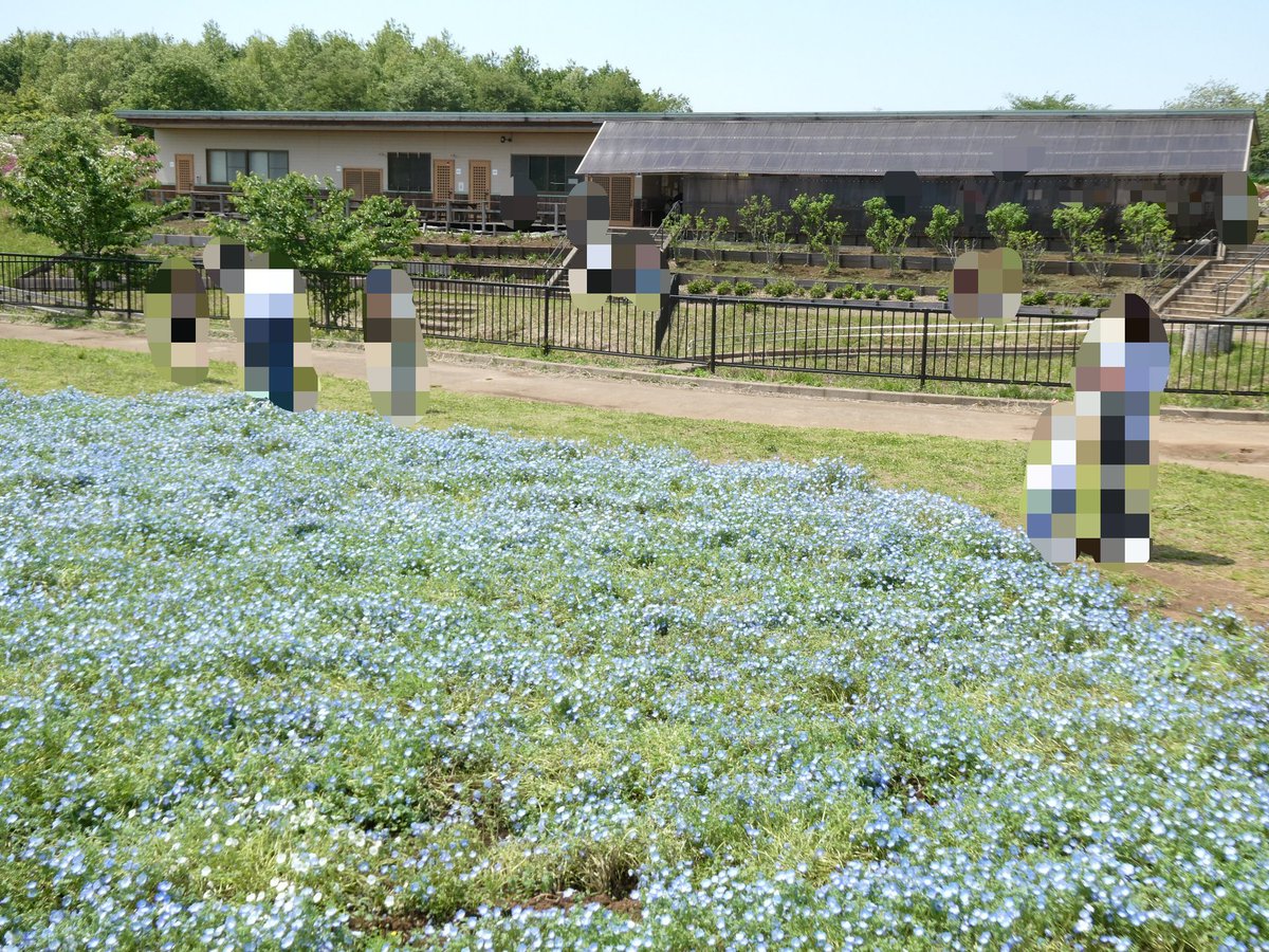 むつらぼし tweet media