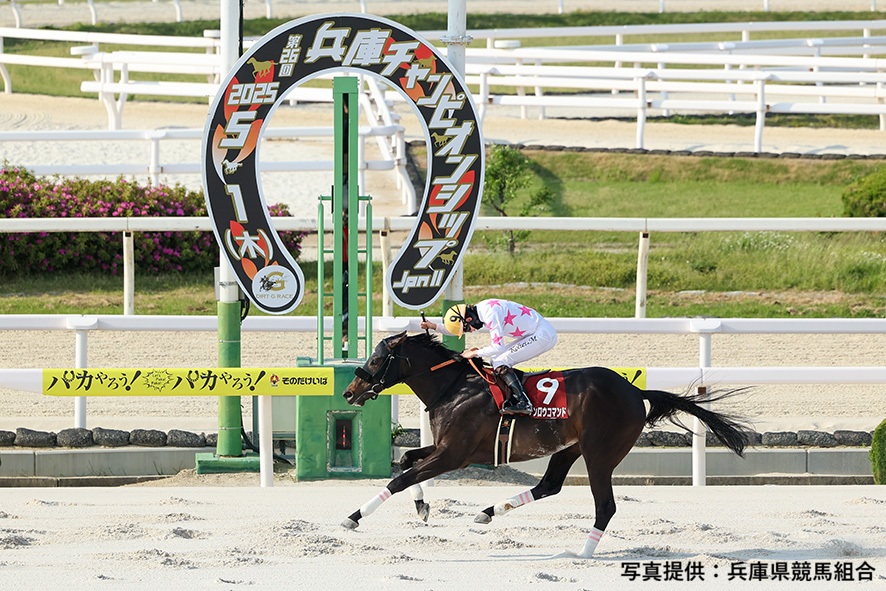 ❤️無料放送❤️ 5/6(休水) 701ch 園田11R｢兵庫チャンピオンシップ