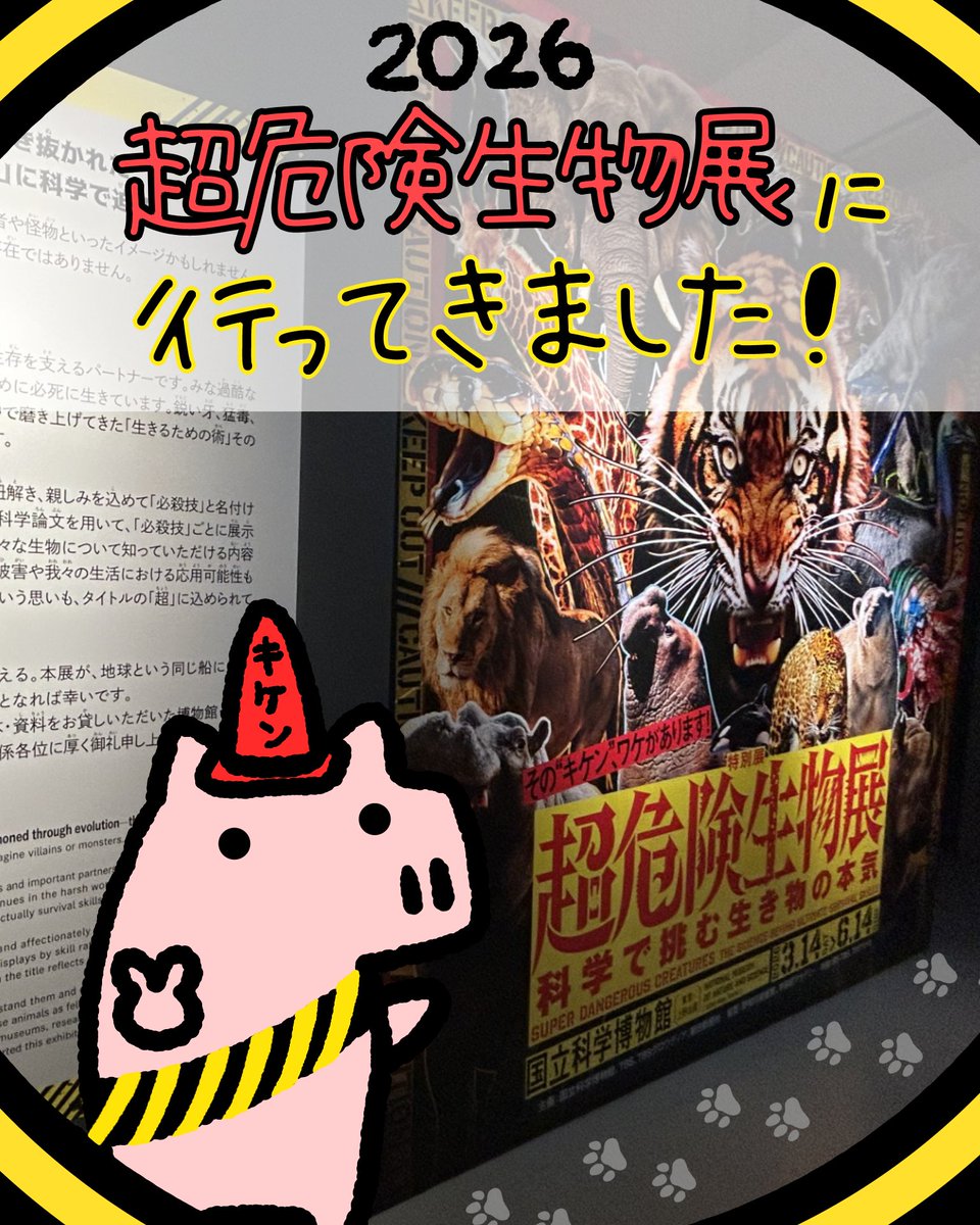 butaman_animals's tweet photo. 先日、国立科学博物館に行ってきました🐅
楽しすぎて大満足！
一通り、解説パネルや映像を見て
所要時間3時間🐘
図録は買ってよかったです(*^^)v

#超危険生物展 https://t.co/phnmNRTfJx