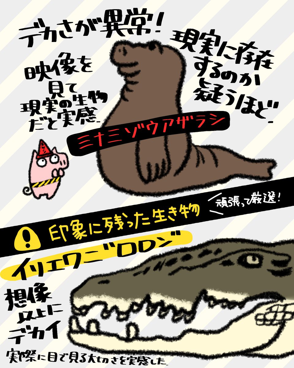 butaman_animals's tweet photo. 先日、国立科学博物館に行ってきました🐅
楽しすぎて大満足！
一通り、解説パネルや映像を見て
所要時間3時間🐘
図録は買ってよかったです(*^^)v

#超危険生物展 https://t.co/phnmNRTfJx