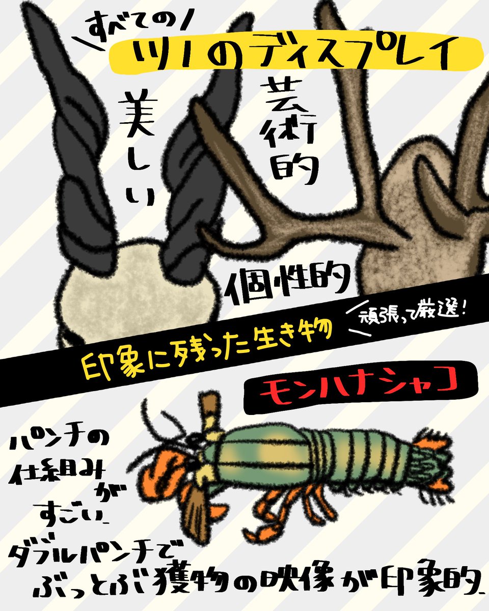 butaman_animals's tweet photo. 先日、国立科学博物館に行ってきました🐅
楽しすぎて大満足！
一通り、解説パネルや映像を見て
所要時間3時間🐘
図録は買ってよかったです(*^^)v

#超危険生物展 https://t.co/phnmNRTfJx