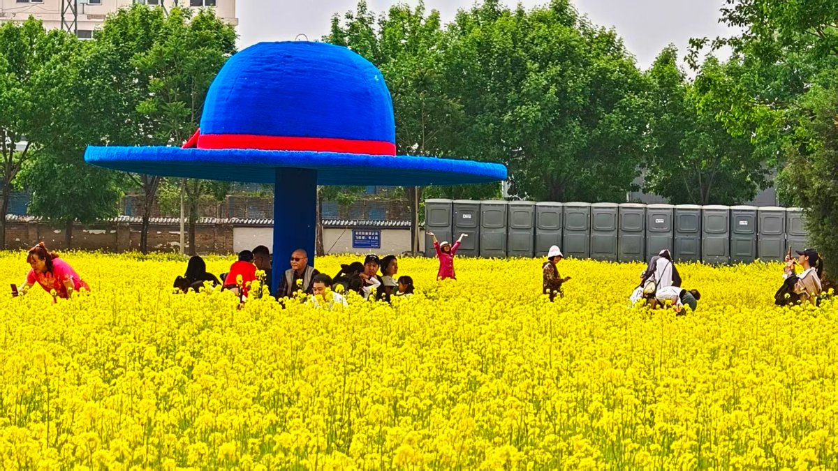 BeijingEvening's tweet image. 打卡通州假日胜景：鲜花烂漫，铺展成诗
A sprawling 225-mu field of rapeseed #flowers is in full bloom beside the Beijing Art Center in Tongzhou District. #beijing #UrbanChina