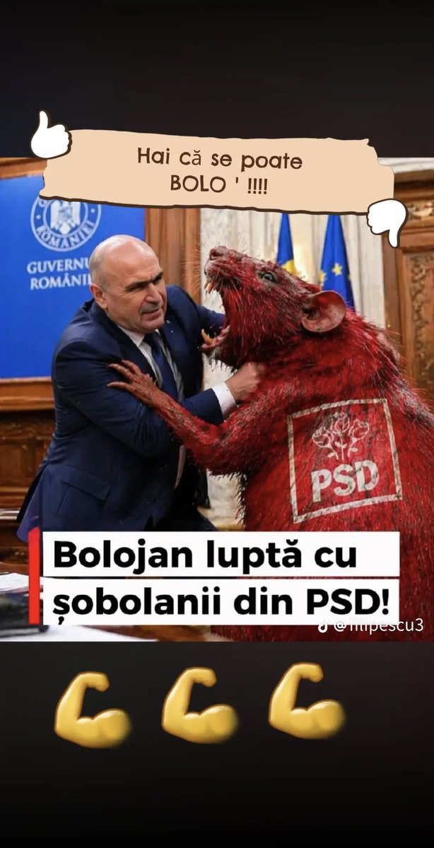 Kuky tweet media