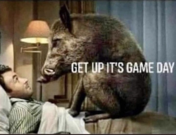 MeadorsDennis's tweet image. It’s a good day to win a series for @RazorbackBSB and @RazorbackSB to sweep the series in Austin. Would love to see both diamond squads go 1-0 on the day. Fans, let’s get rowdy! 
#BaumSquad
#BogleBombers
#OneRazorback