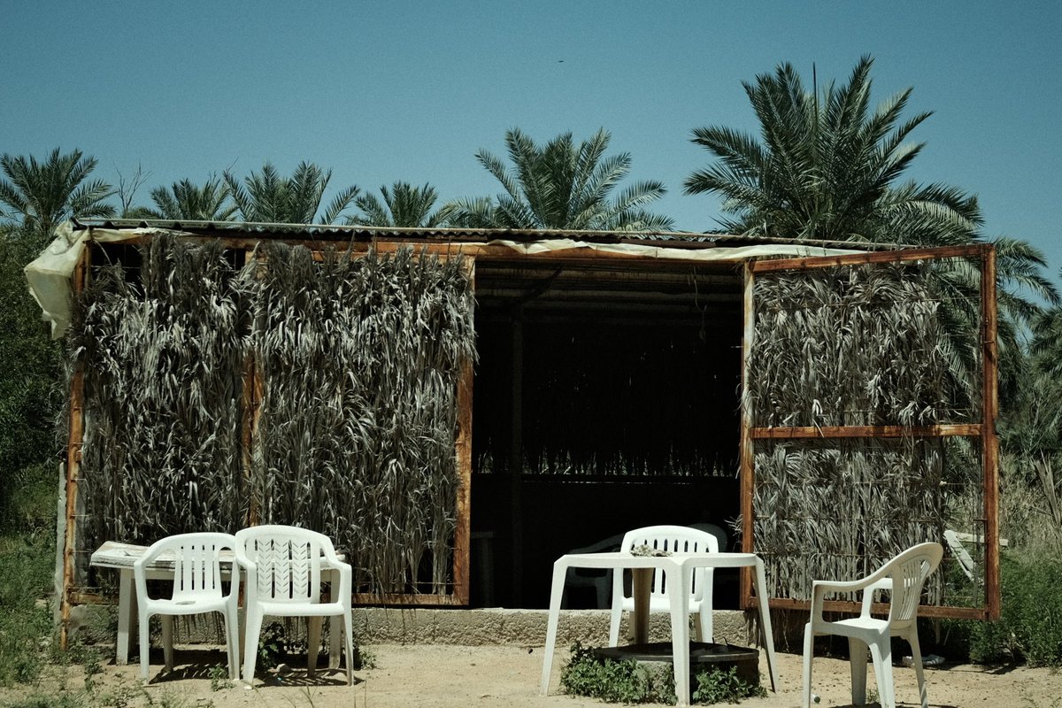 عنيزة في فيلم tweet media