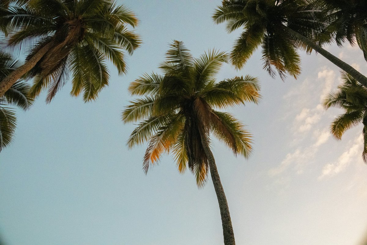 ahry369's tweet image. Hello fam
Enjoy your weekend
#peace