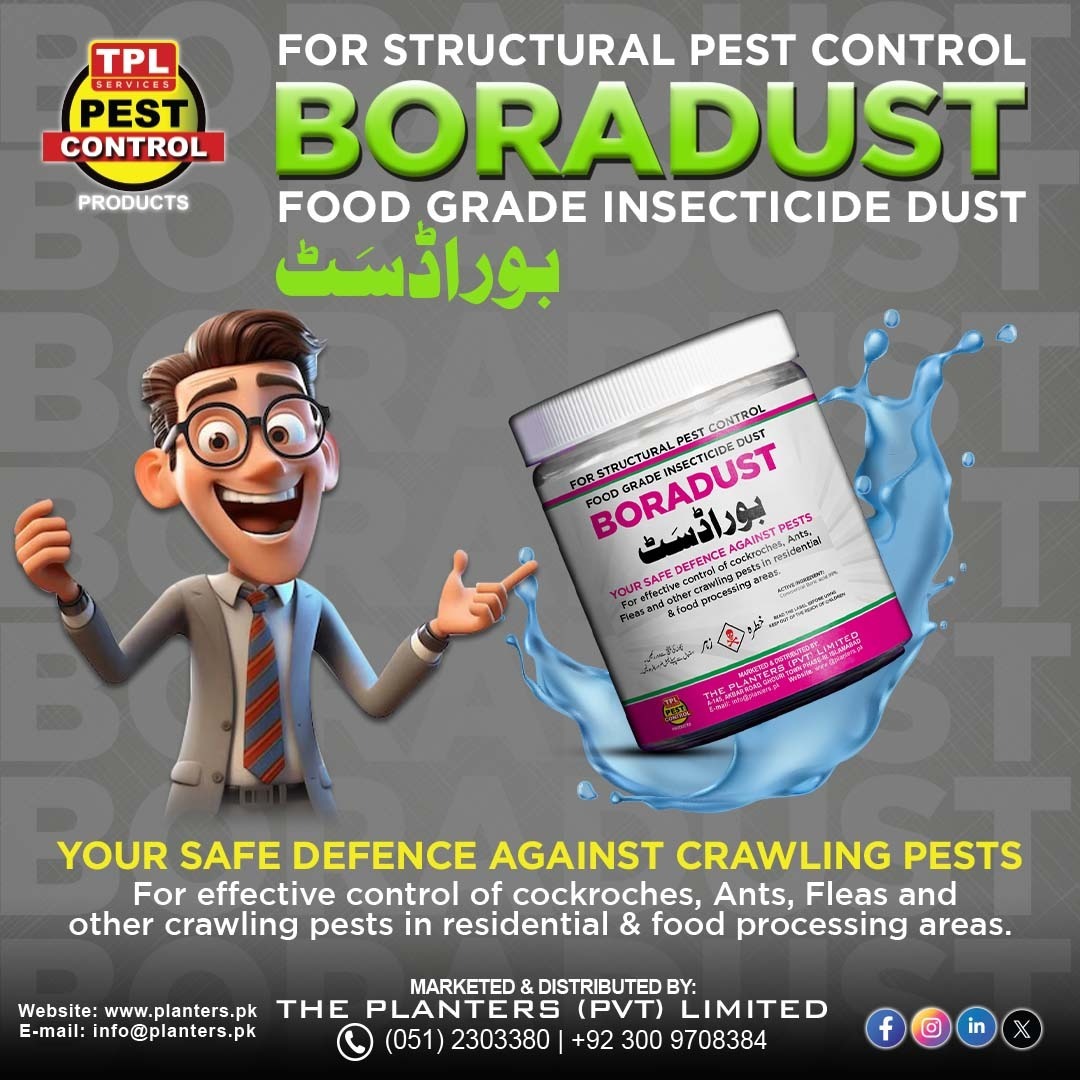 TPLPestControl's tweet image. Protect your space with Boradust — your safe defence against crawling pests!
✔️ Food-grade insecticide dust
✔️ Effective against cockroaches, ants &amp;amp; fleas
✔️ Safe for homes &amp;amp; food processing areas
#Boradust #PestControl #Insecticide #FoodGrade #Cockroach #PlantersPK #PestFree