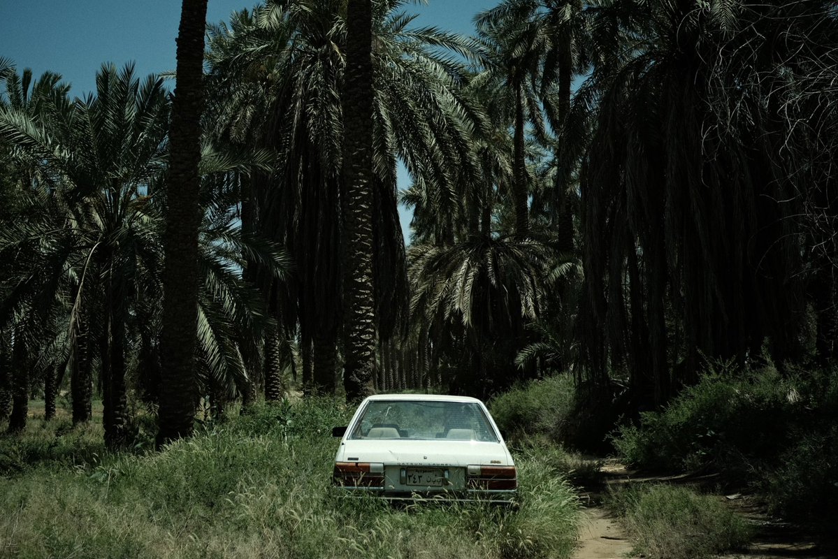 عنيزة في فيلم tweet media