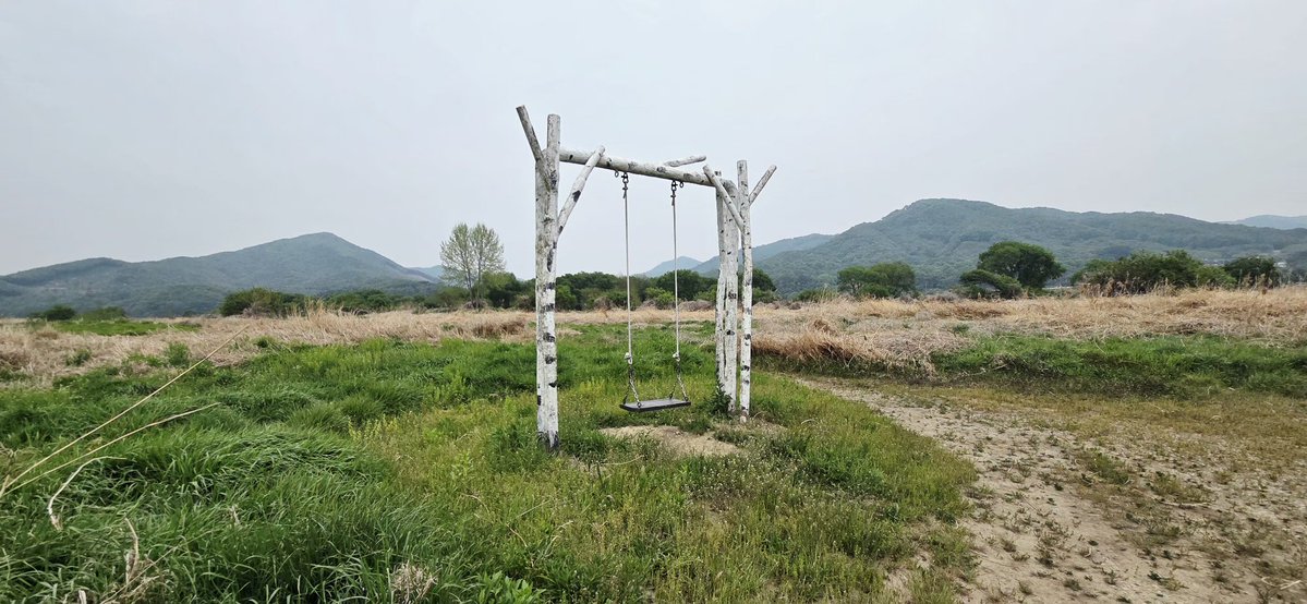 김금동🪅 tweet media
