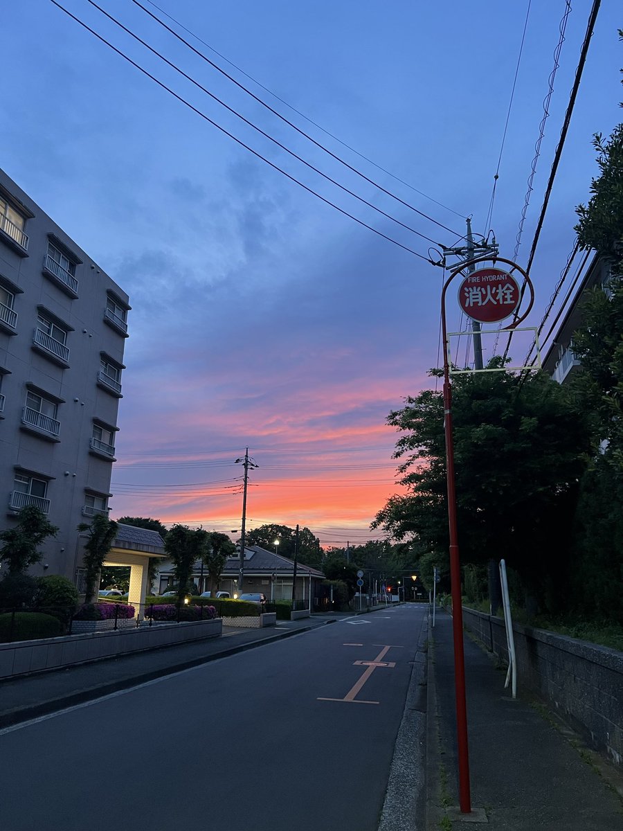 DAISUKE@KALEST（川原大輔） tweet media