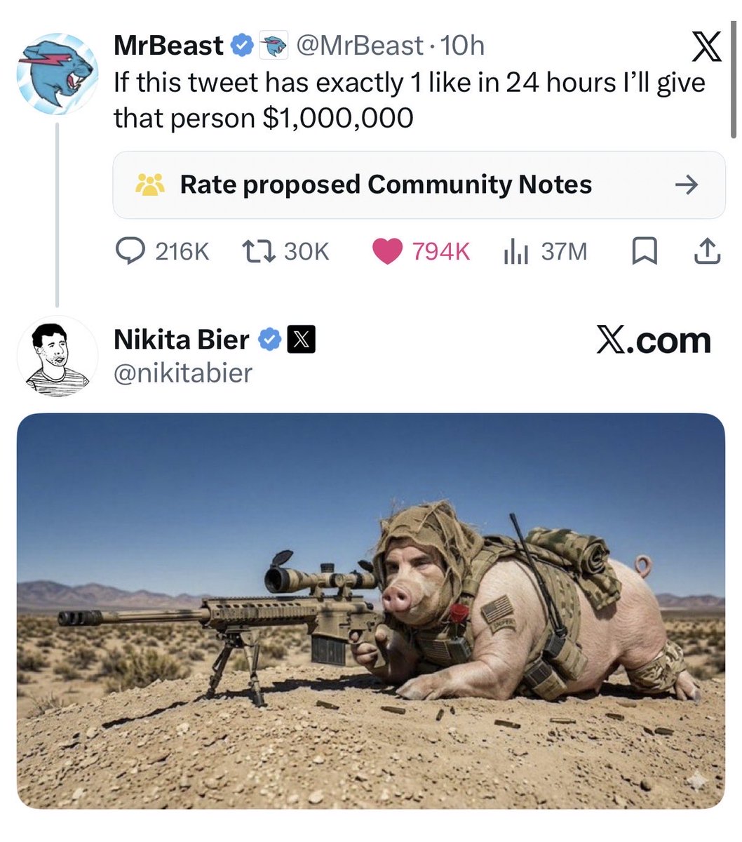 sui ☄️ tweet media
