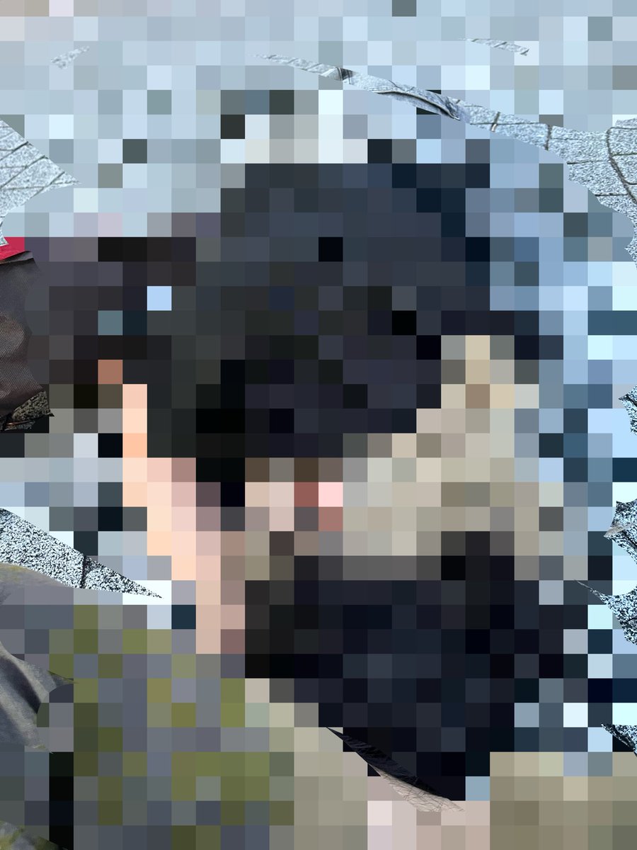 変なおぎさん1.0 tweet media