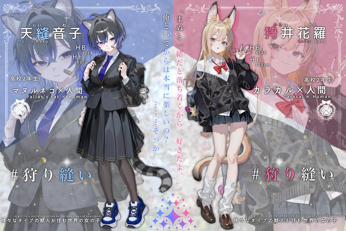 にゃるら🐈‍⬛ tweet media